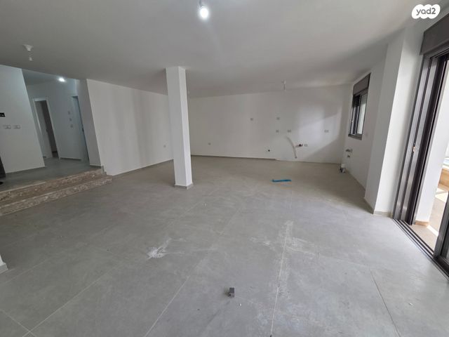 נווה דוד רמז