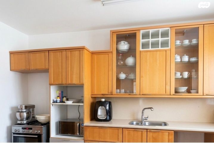 דוד הראובני 