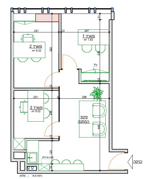 דרך הנפת הדגל 