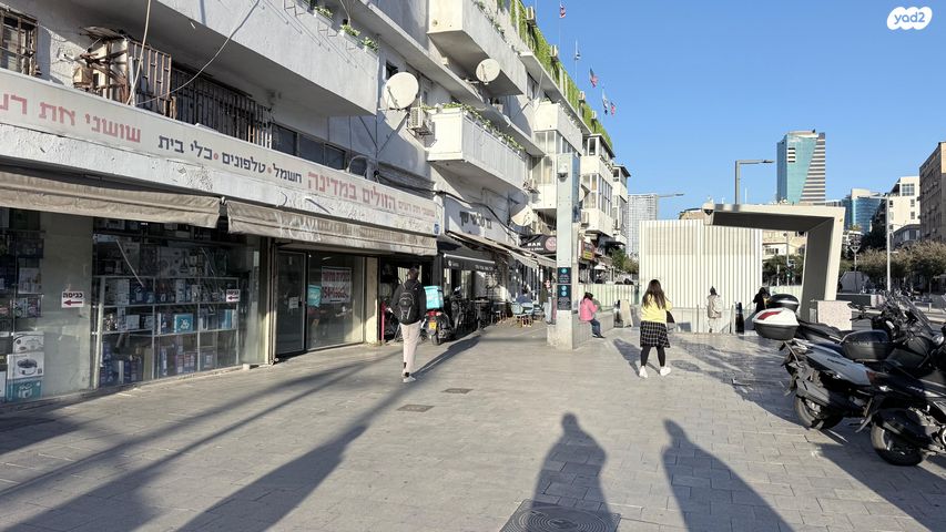 יהודה הלוי 47