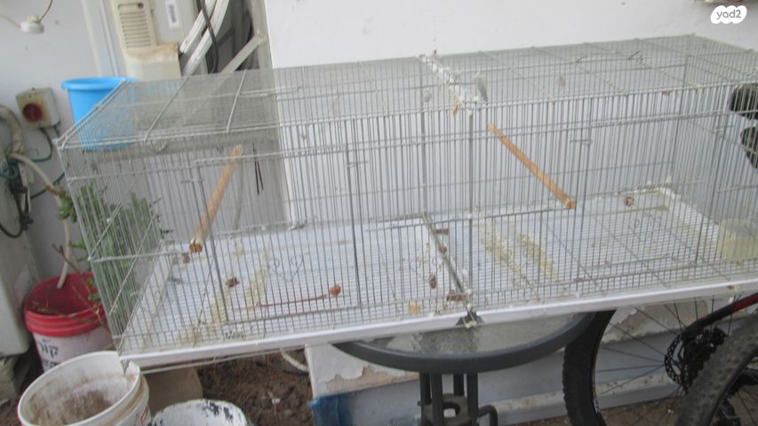 תמונת מודעה - חיות מחמד