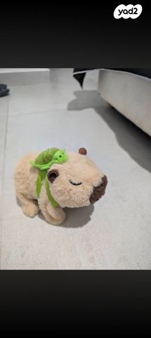 תמונת מודעה - חיות מחמד