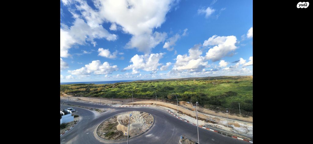 אריאל שרון 1