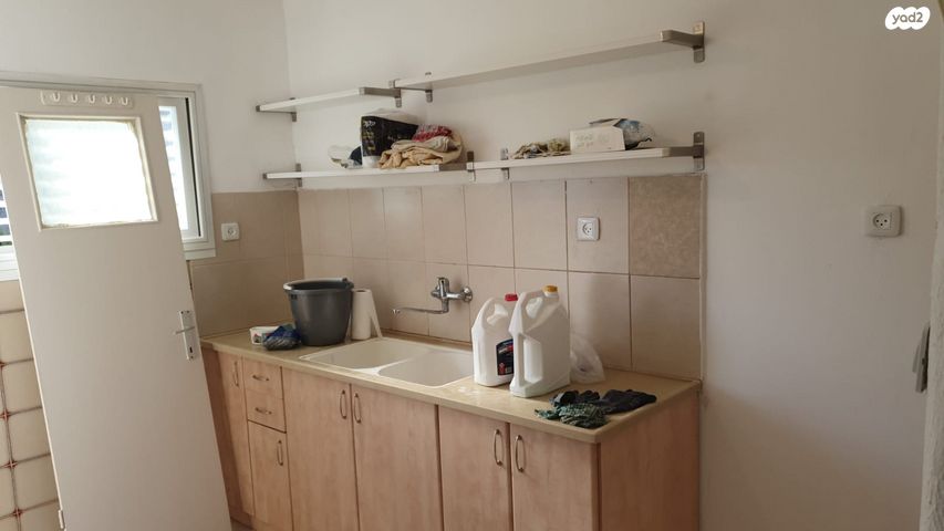 דוד אלעזר 16