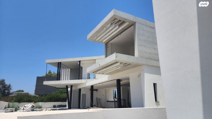 כינרת 11