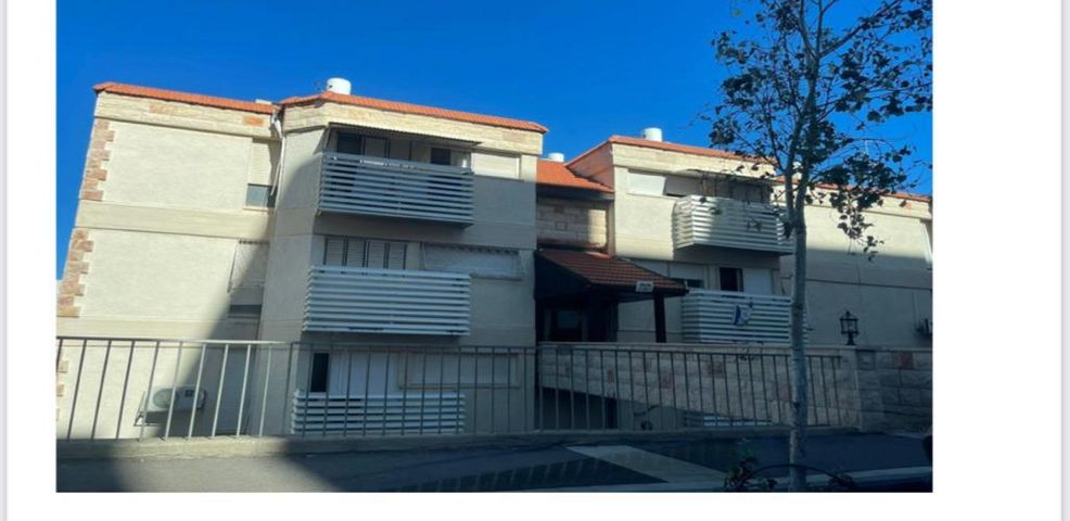 ליאון בלום 29