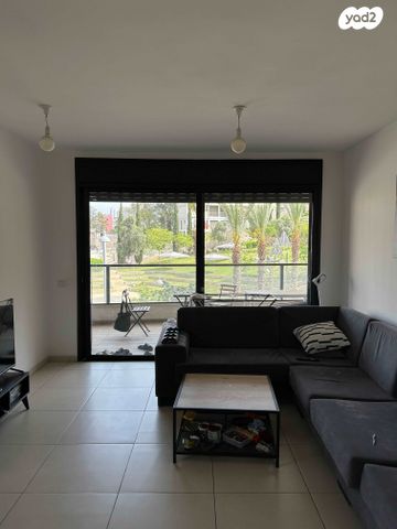 ואדי סאליב 12