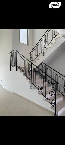 אברהם ברזילי 1