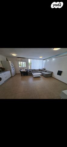 איילת השחר 25