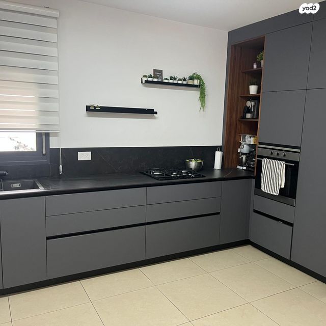 שרה אהרונסון 3