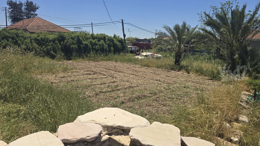 משק חקלאי/ נחלה למכירה בגפן (תיווך) — 2