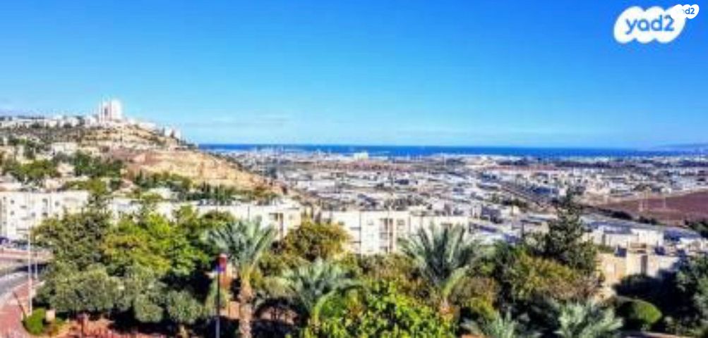 נתיב הארזים 