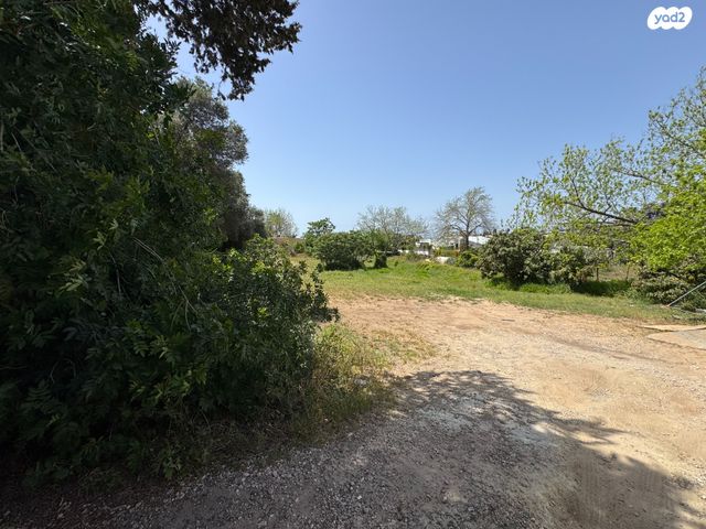 משק חקלאי/ נחלה