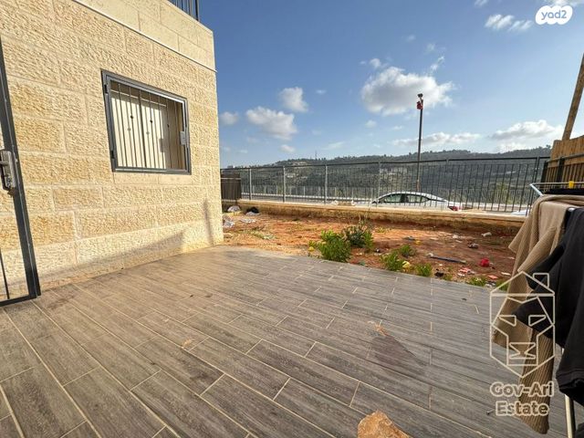 אבנר חי שאקי 