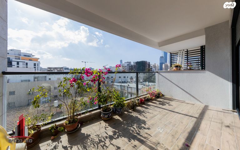 הרב חבה אליהו 