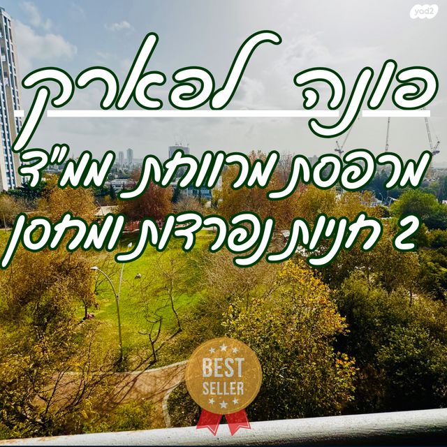 שמעון בן צבי 