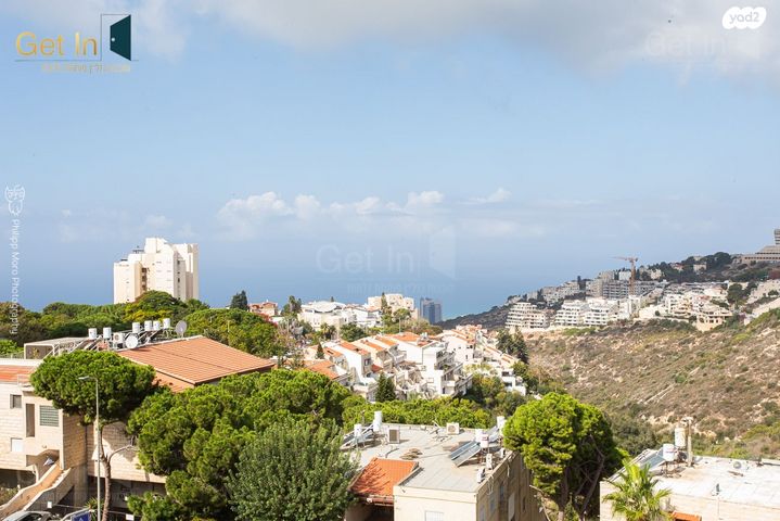 דרך פרויד 39