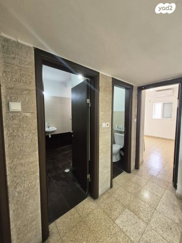 אריה רובין 15