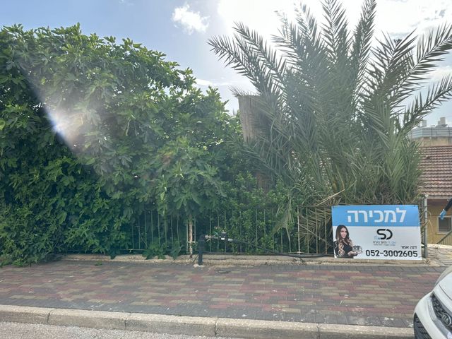 זבולון 