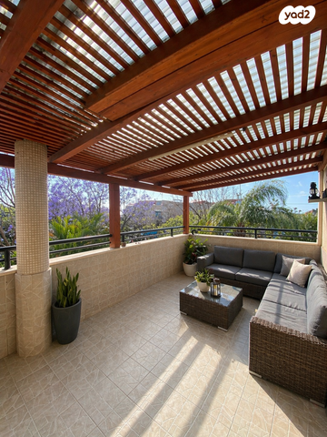 אירוס הארגמן 24