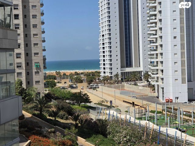 דודו דותן 12