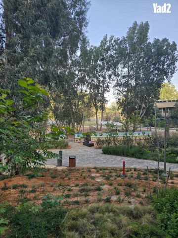 רועי קליין 10