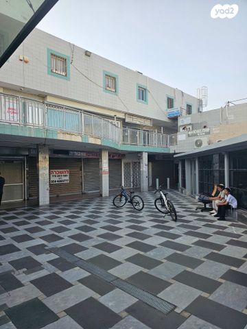 דוד המלך 
