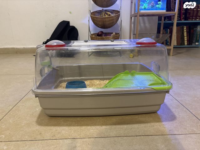 תמונת מודעה - חיות מחמד