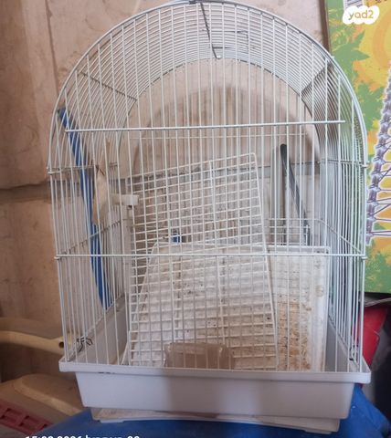 תמונת מודעה - חיות מחמד