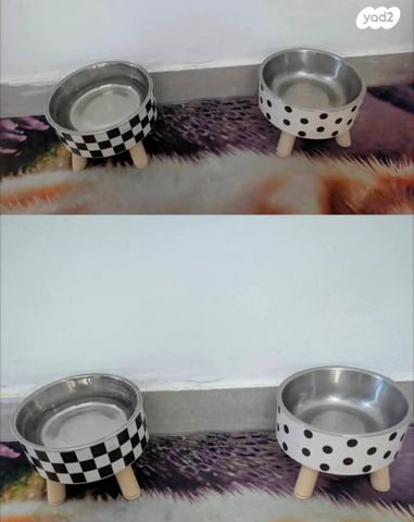 תמונת מודעה - חיות מחמד