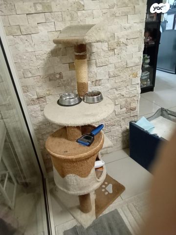 תמונת מודעה - חיות מחמד