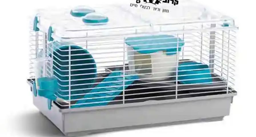 תמונת מודעה - חיות מחמד