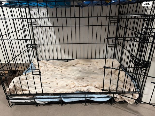 תמונת מודעה - חיות מחמד