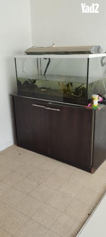 תמונת מודעה - חיות מחמד