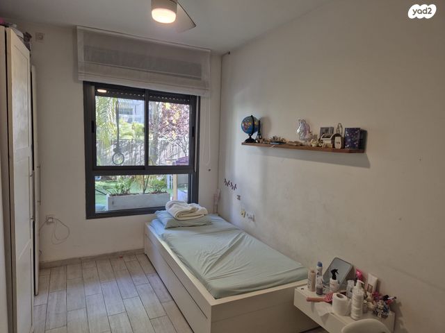 חסידה 1