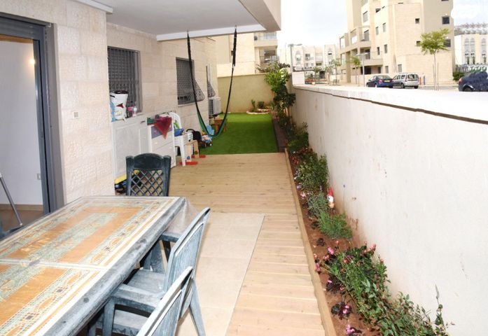 גפן 55