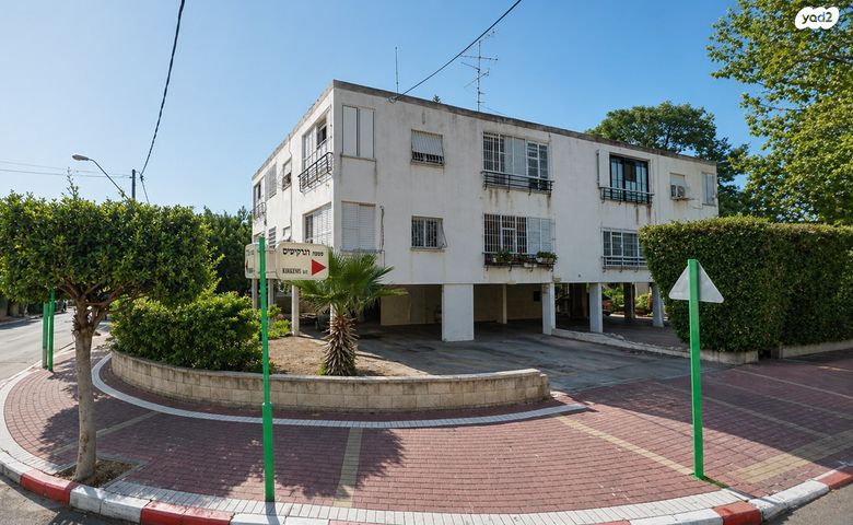 הנרקיסים 26