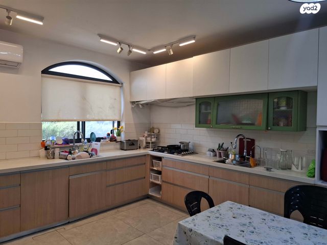 שושנת העמקים 1