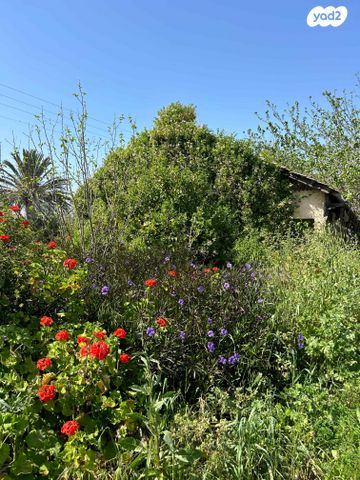 משק חקלאי/ נחלה