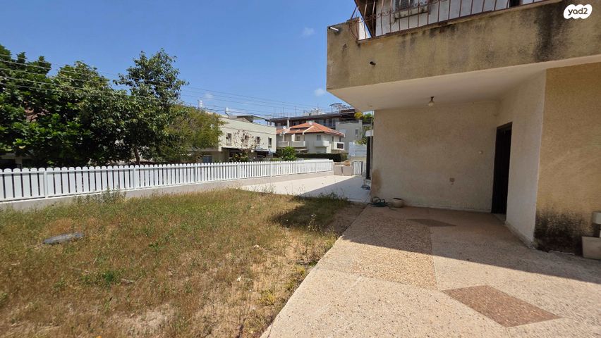 ברנשטיין כהן 