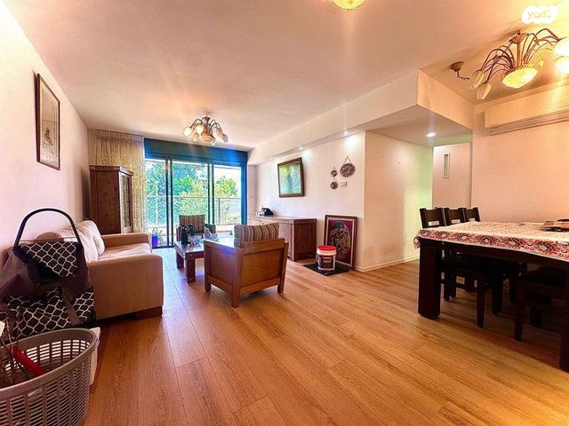 לסטר/רבוצקי