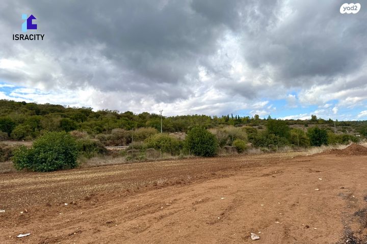 גבעת ישעיהו