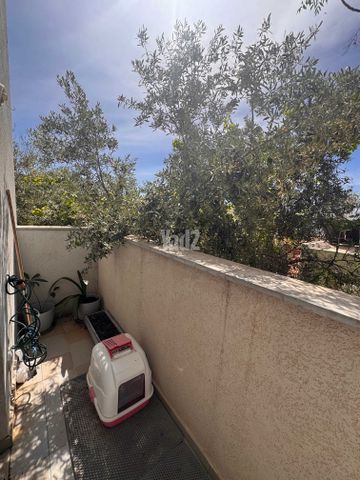 דרך תא"ל אורי בראון 