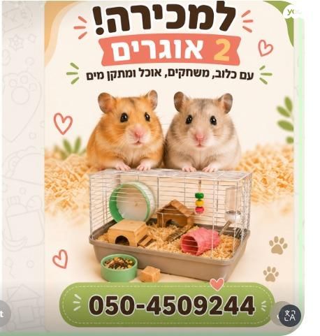 תמונת מודעה - חיות מחמד