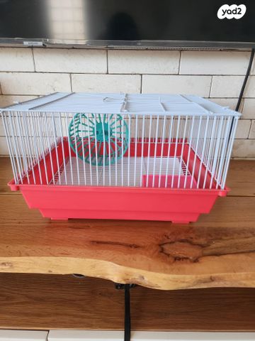 תמונת מודעה - חיות מחמד