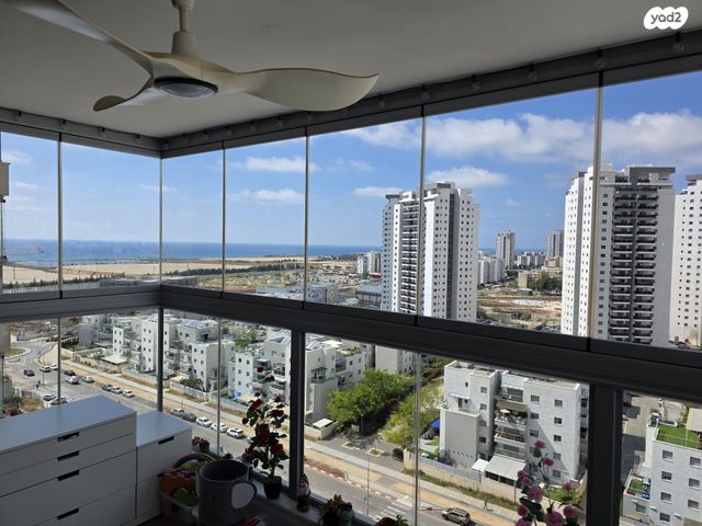 השחף 5