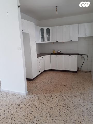 פנחס רוטנברג 11
