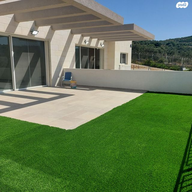 שנהב 11