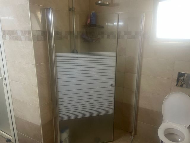 שקד 30