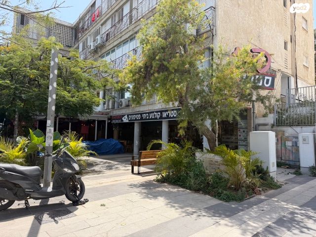 כצנלסון 113